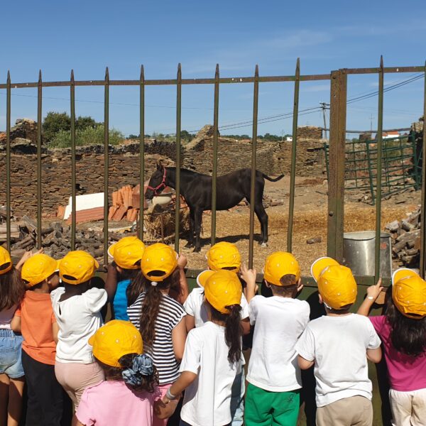 Read more about the article Viagens com História(s)