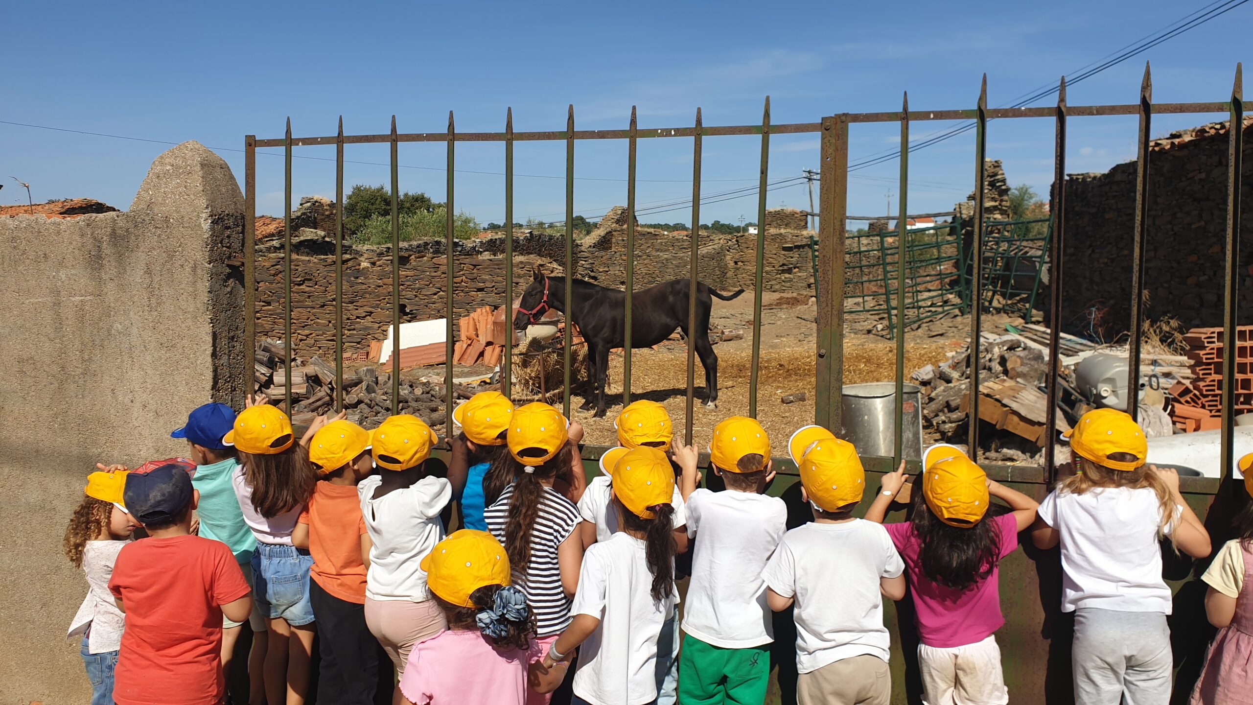 Read more about the article Viagens com História(s)