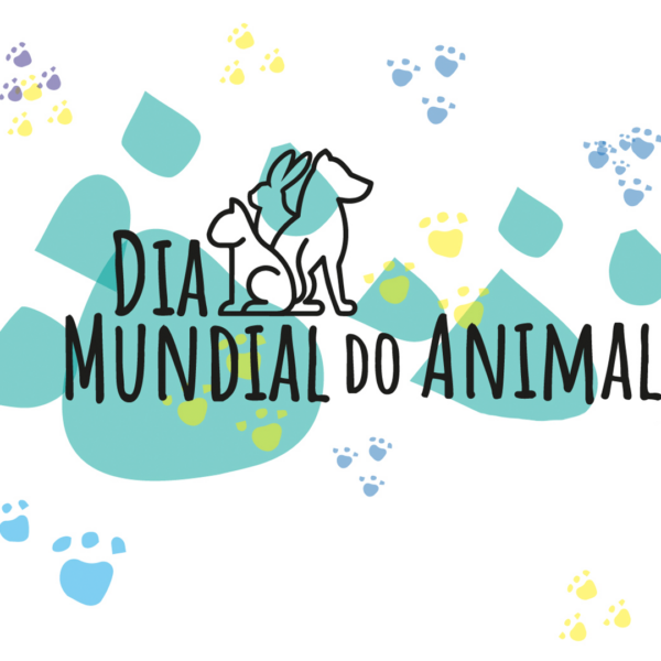 Read more about the article Dia do Animal na Zebreira
