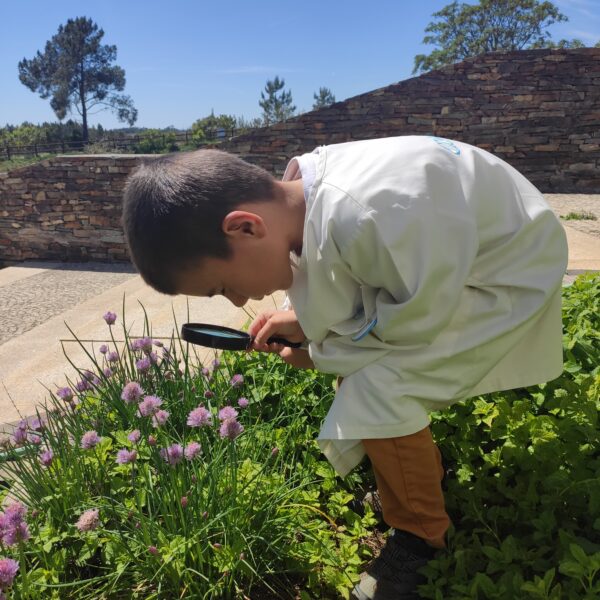 Read more about the article Cultura Científica na Zebreira