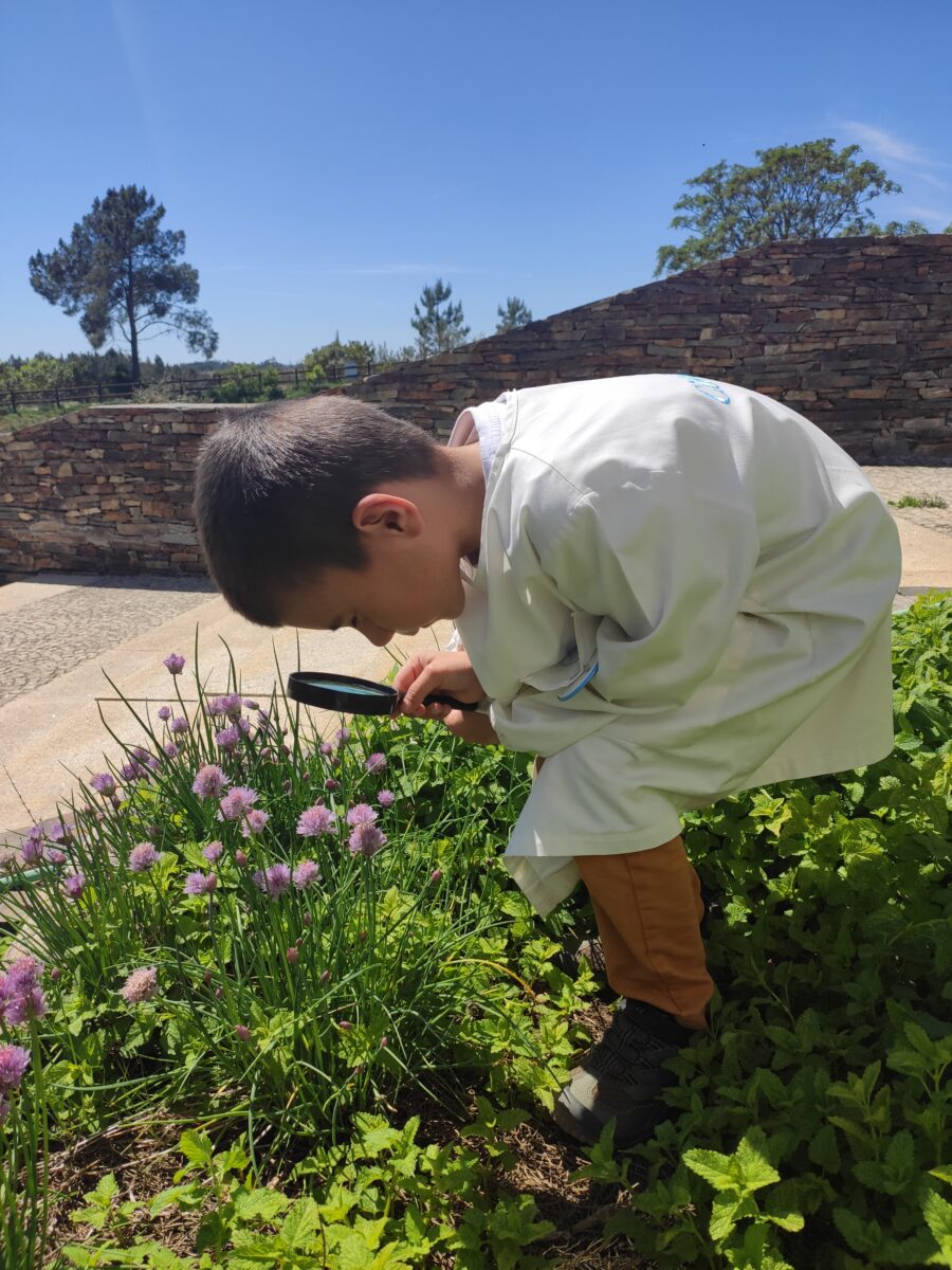 Read more about the article Cultura Científica na Zebreira