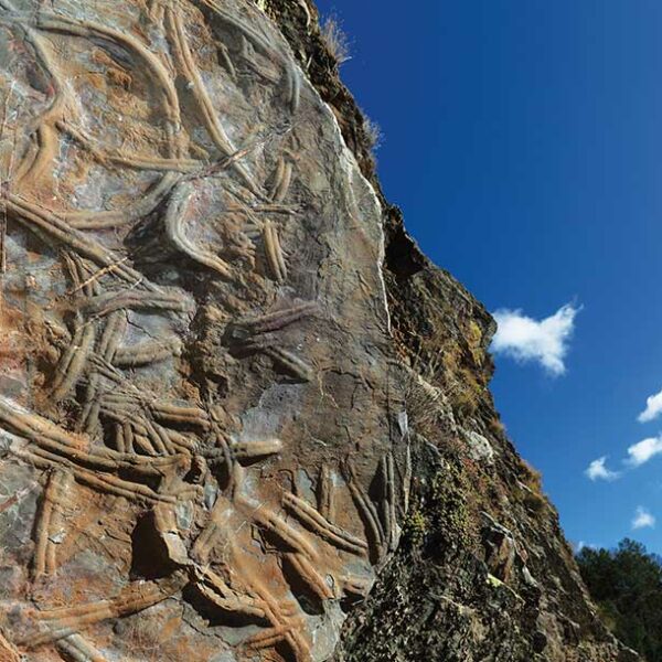 Read more about the article As rochas do Geopark