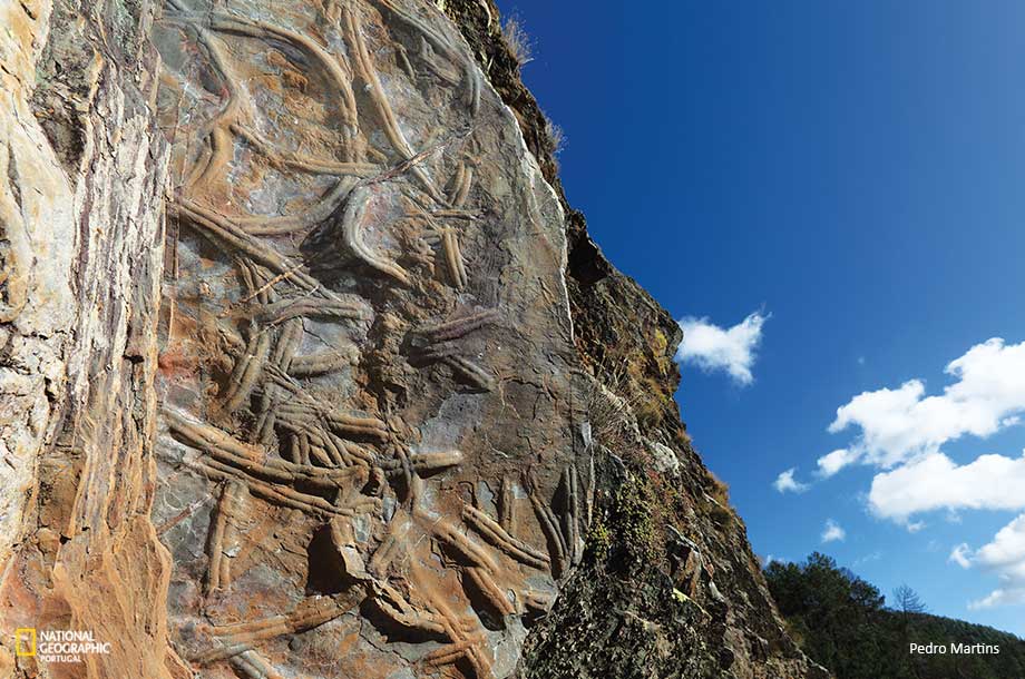 Read more about the article As rochas do Geopark