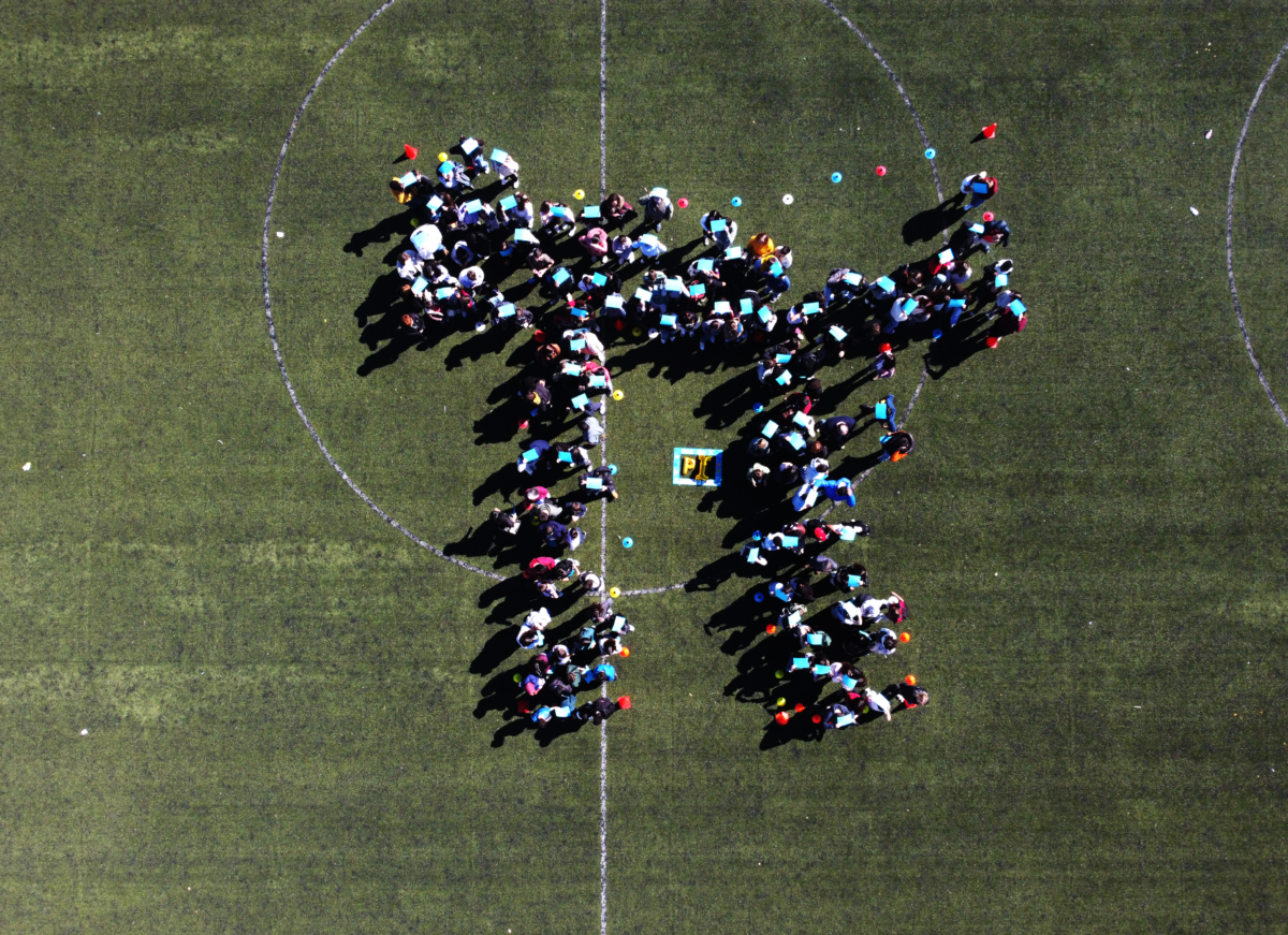 Read more about the article Dia do PI