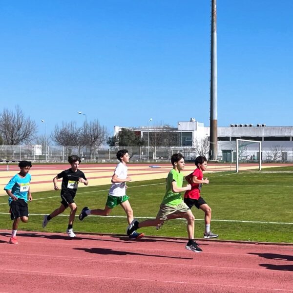 Read more about the article Mega Sprinter 2026