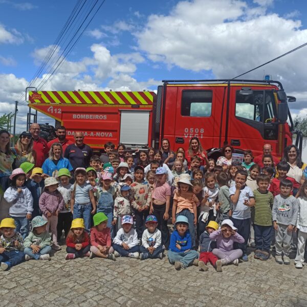 Read more about the article Bombeiros no Ladoeiro