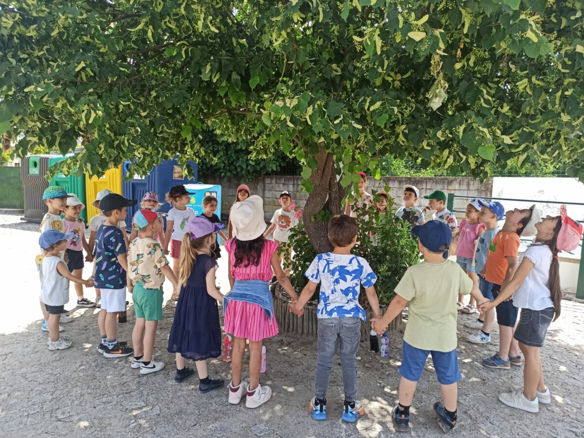 Read more about the article Aulas ao Ar Livre