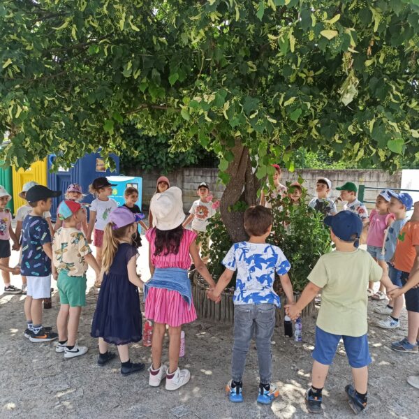 Read more about the article Aulas ao Ar Livre